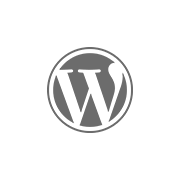 web designer wordpress